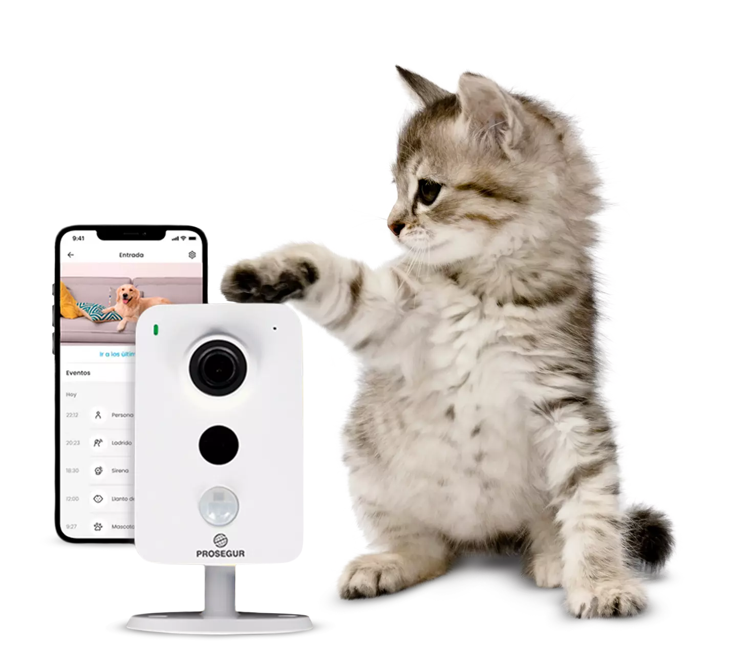 prosegur alarmas pet ready